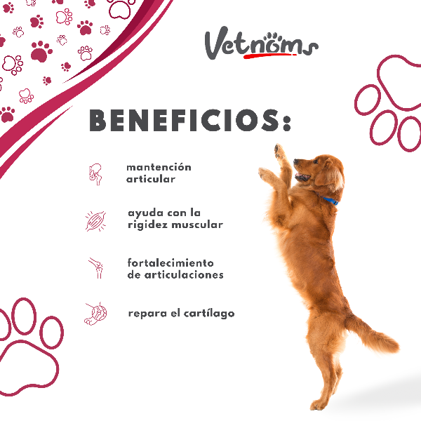 Hip & Joint for Dogs