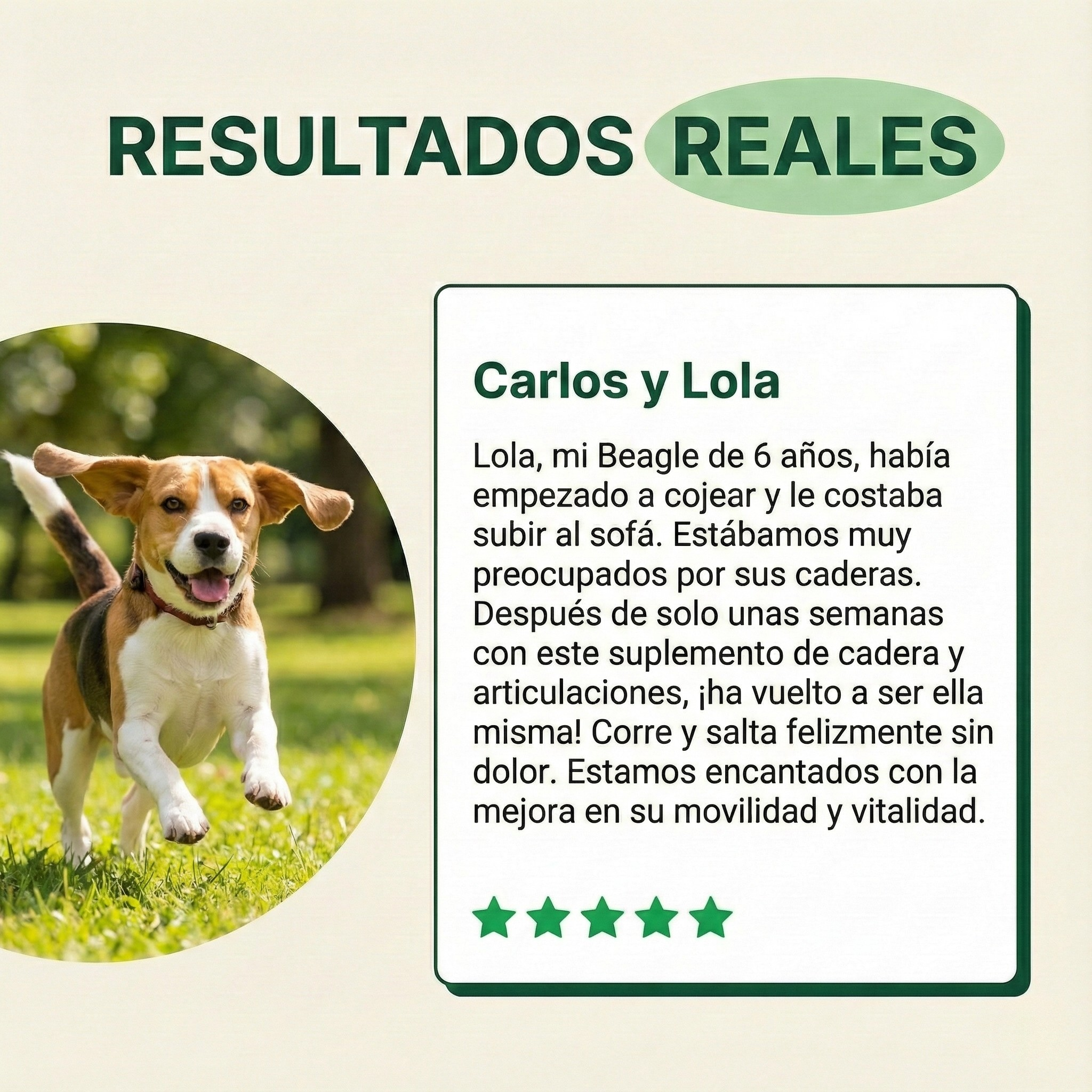 Hip & Joint for Dogs