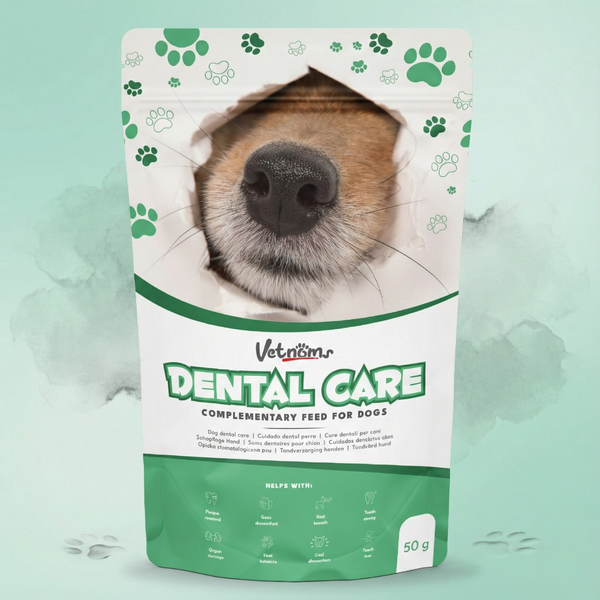 Dental Care