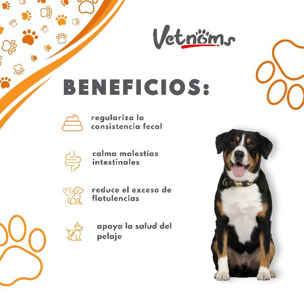 Probiotics for Dogs