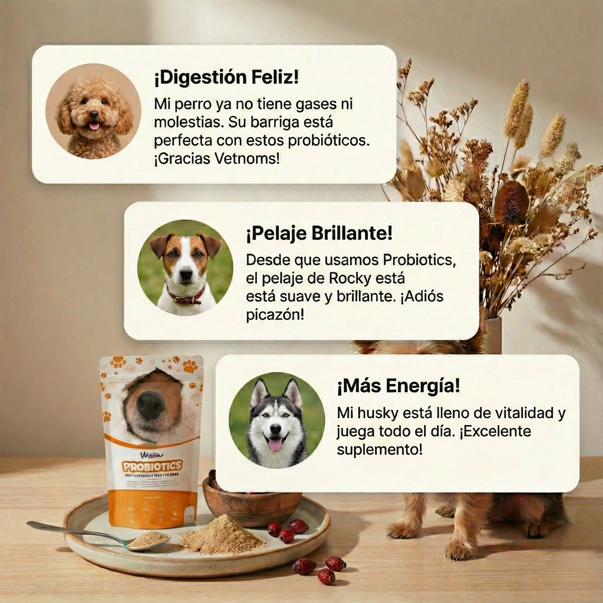 Probiotics for Dogs